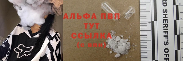 мет Алексин