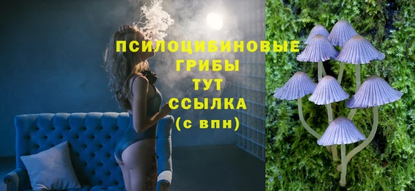ECSTASY Алексеевка
