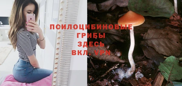мет Алексин