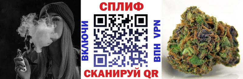 Конопля конопля  ссылка на мегу tor  Павловская  продажа наркотиков 